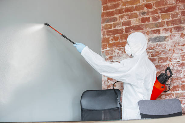 Best Crawl Space Mold Remediation  in Camden, SC