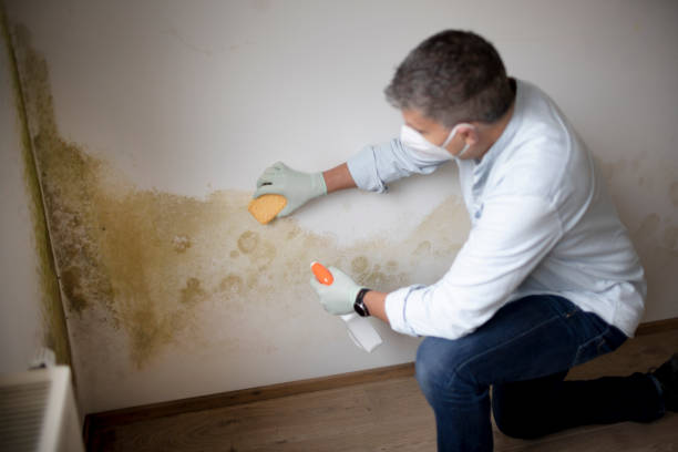 Best Mold Documentation for Insurance Claims  in Camden, SC